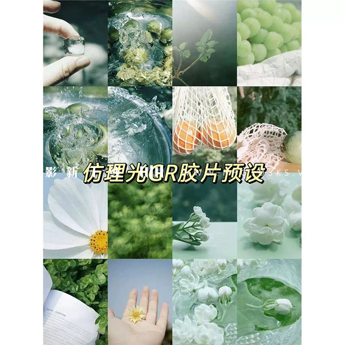 【P1354】理光GR胶片预设 ACR配置文件预设、LUTS预设
